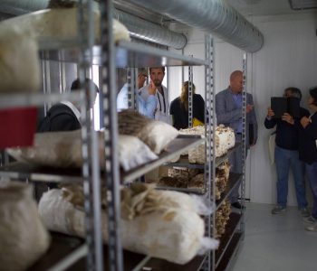 WoodFungi Conference 2018 exposition