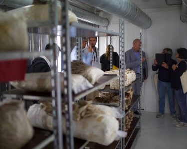 WoodFungi Conference 2018 exposition